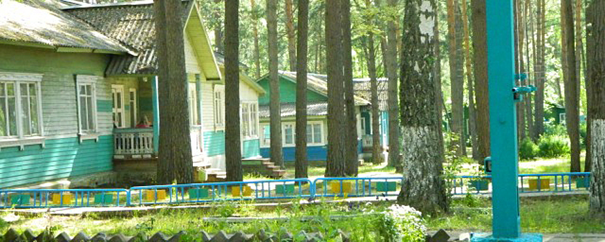 Детские лагеря Тамбовской области хотят открыть 10 июля
