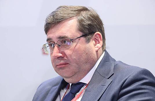 Права акционеров при пересмотре приватизации предложили защитить законом