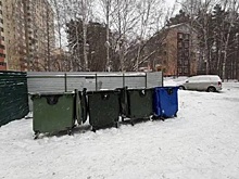 Регоператор, чиновники и УК нашли решение по вывозу мусора с проблемных дворов Новосибирска