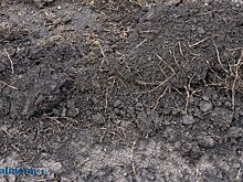 В Пензе бойцам СВО передали в собственность около 70 участков