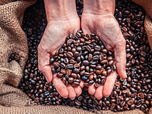 Цены на кофе в России могут снизиться почти на 15%