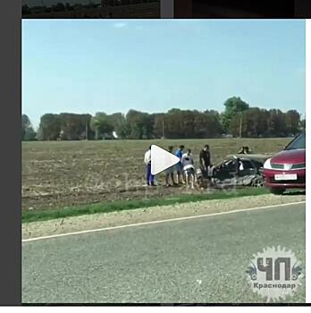 Видео: две легковушки улетели в поле после лобовой аварии на трассе в Краснодарском крае, есть пострадавшие