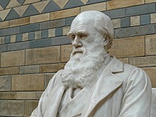 Отказался ли Дарвин от теории эволюции? Теперь вы можете прочитать все его письма и узнать