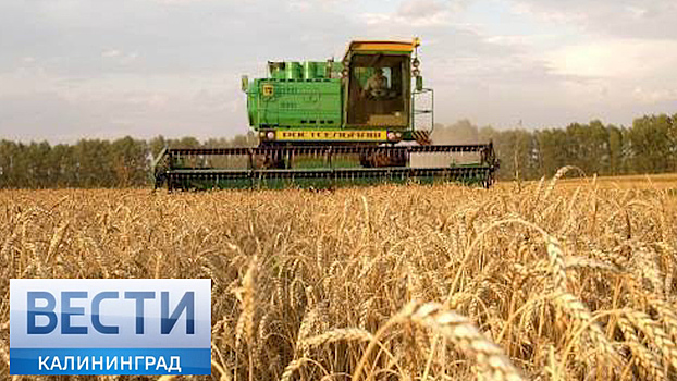 Калининградская область экспортирует на миллиард долларов в год