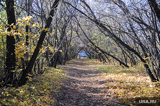 Жители Чебаркуля потребовали отменить продажу земель памятника природы «Крутик»