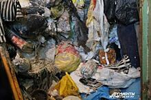 Пыль и крысы. Как вывозили 80 кубов мусора из квартиры пермской бабушки