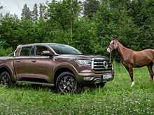 В России повышается спрос на китайские пикапы