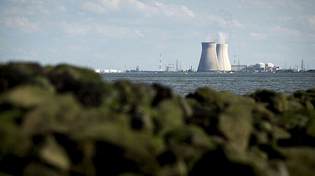В Бельгии назвали причину остановки реактора АЭС
