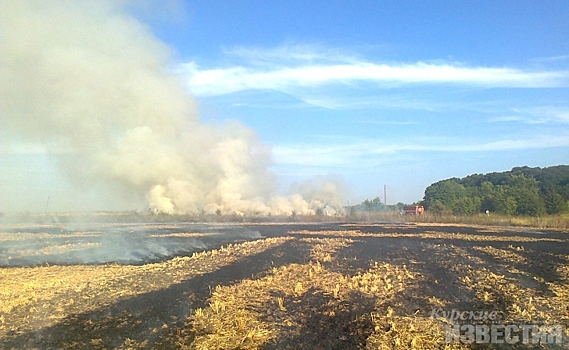 В Курской области горело 100 «квадратов» сухой травы