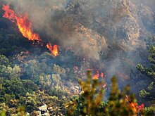 Власти взяли под контроль крупное природное возгорание в Турции