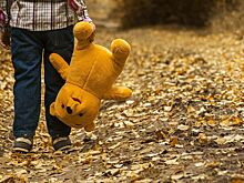 Потерявшегося московского ребенка нашли в Костроме спустя полгода