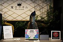 В японском отеле из-за некомпетентности уволены сотрудники-роботы