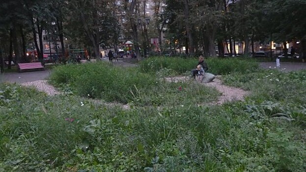 В Академическом районе заколосился мини-сад, высаженный жителями