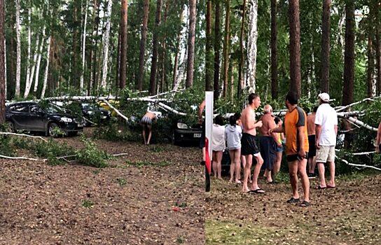 В Челябинской области ураган повалил берёзы на машины отдыхающих