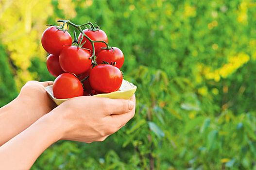 Топ-7 продуктов против рака