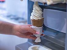 Школьница вышла за мороженым и лишила родителей 700 тысяч рублей