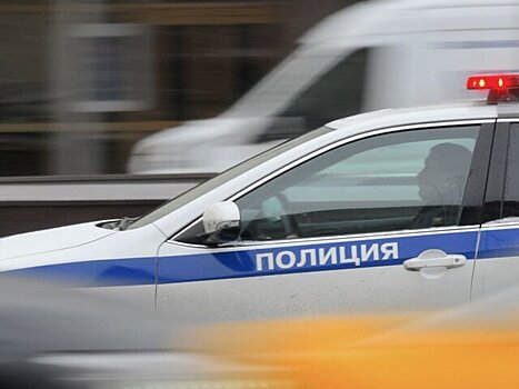 Подозреваемый в нападении на росгвардейца задержан в Подмосковье