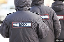 В Екатеринбурге силовики задержали автомобиль «Мемориала»*