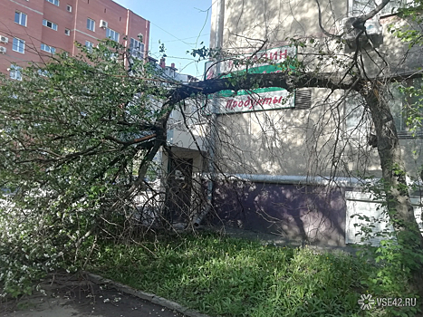 Кемеровчане поделились кадрами разрушительных последствий урагана