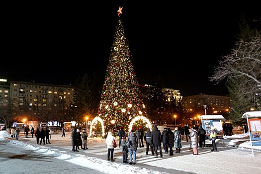 Продлят ли новогодние каникулы в России из-за COVID-19 до февраля 2022 года