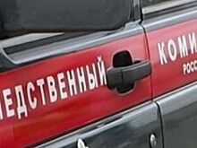 Главе СК доложат о ходе дела о гибели четырех человек при пожаре в тепличном комплексе в Подмосковье