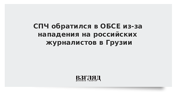 СПЧ обратился в ОБСЕ из-за нападения на российских журналистов в Грузии