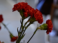 Благотворительная акция «Красная гвоздика» завершится в парках Центрального округа