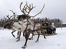 Где недалеко от Москвы можно провести зимние каникулы