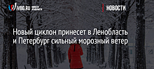 Новый циклон принесет в Ленобласть и Петербург сильный морозный ветер