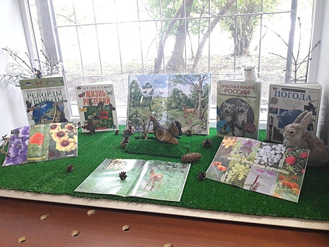 Экологическая выставка открылась в библиотеке на Трофимова