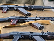 Подмосковных владельцев оружия проверят поголовно