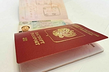 В РФ могут начать проверять загранпаспорта из-за гостайны
