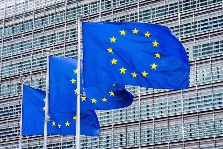 Евросоюз готовит карантин для пассажиров лайнера с хантавирусом