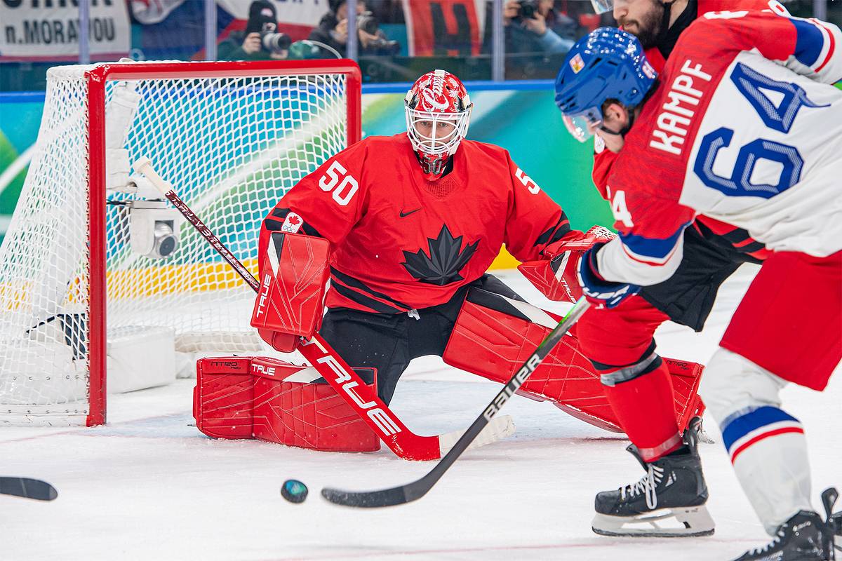 ����&nbsp; �������� ������ ������������ ���������� ������� �����������-2026