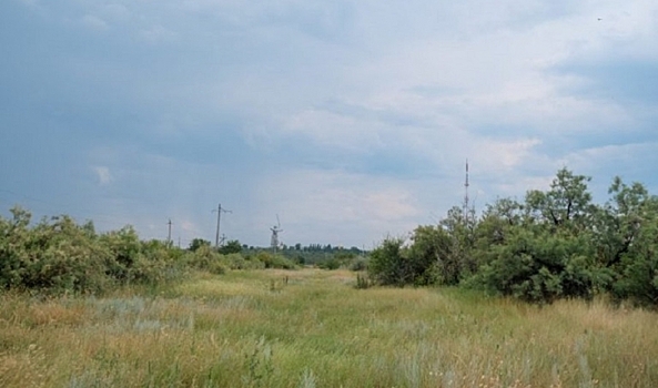 В Ольховском лесничестве Волгоградской области обработают свыше 2000 га лесов