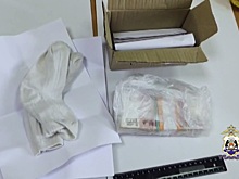 Новгородские полицейские отследили посылку с деньгами обманутой пенсионерки и задержали её получателя