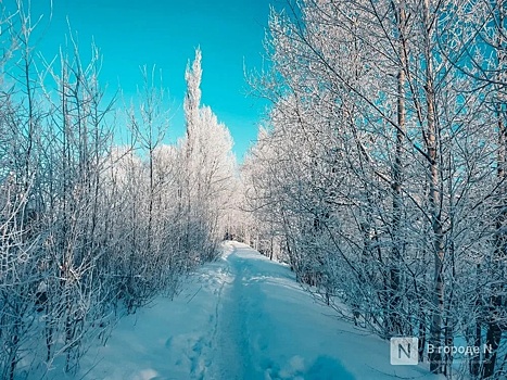 28 новых дронов закупят для нижегородских лесов в 2024 году