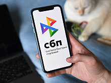Эксперты оценили последствия блокировки переводов себе по СБП