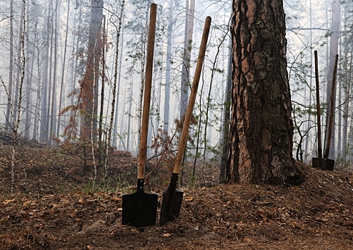 Эксперт по безопасности указал на ошибки людей при выявлении причин лесных пожаров