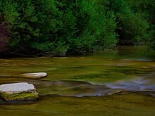На дне реки нашли тело пропавшего 30 лет назад мужчины