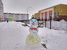 18 января — Всемирный день снеговика