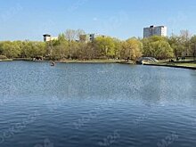 Синоптик Леус: воскресенье в Москве стало самым теплым 20 апреля за всю историю наблюдений