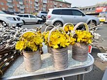 Приморцы уничтожают хрупкую природу