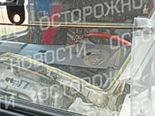 Пассажирский поезд врезался в фуру под Ульяновском