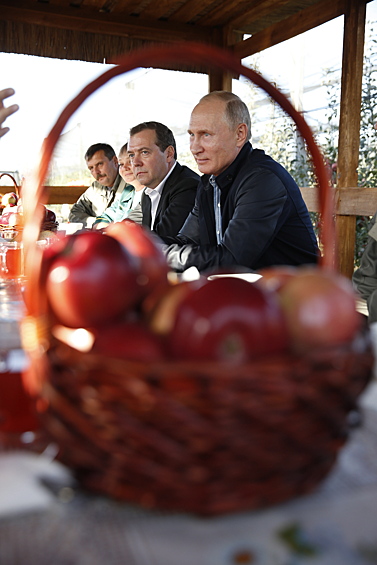 Путин и Медведев, правда, заметили, что они покрыты каким-то налетом, но президента и премьера уверили в том, что это «ставропольская натуральная пыль», и есть эти яблоки можно совершенно спокойно — не обязательно даже мыть