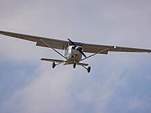 Пилот и пассажир сгорели при крушении самолета в лесу