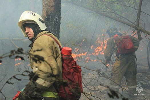 В Оренбургской области более 200 человек тушат пожар в лесном массиве