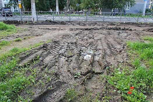 В Челябинске за парковку на газонах жителям выписали более 400 штрафов на миллион рублей