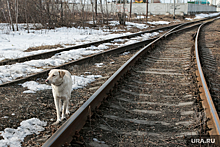 На Украине начали дерусифицировать железные дороги