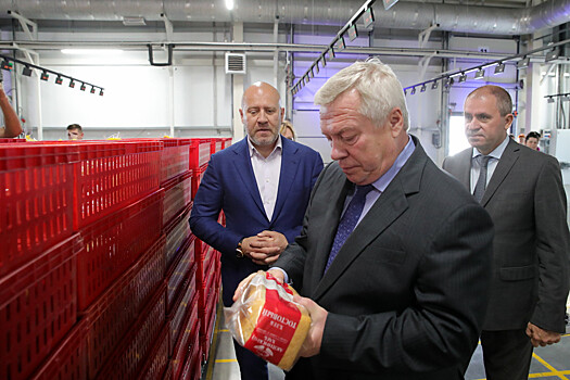 Реестр донских брендов для их поддержки создали в Ростовской области